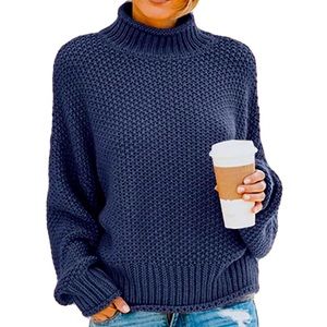 Chunky Soft Mock Turtle Neck